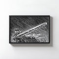 The Black Swordsman